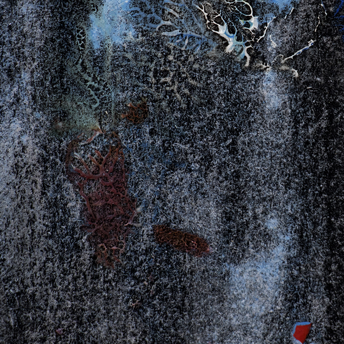 imagen. arte postal 20.5